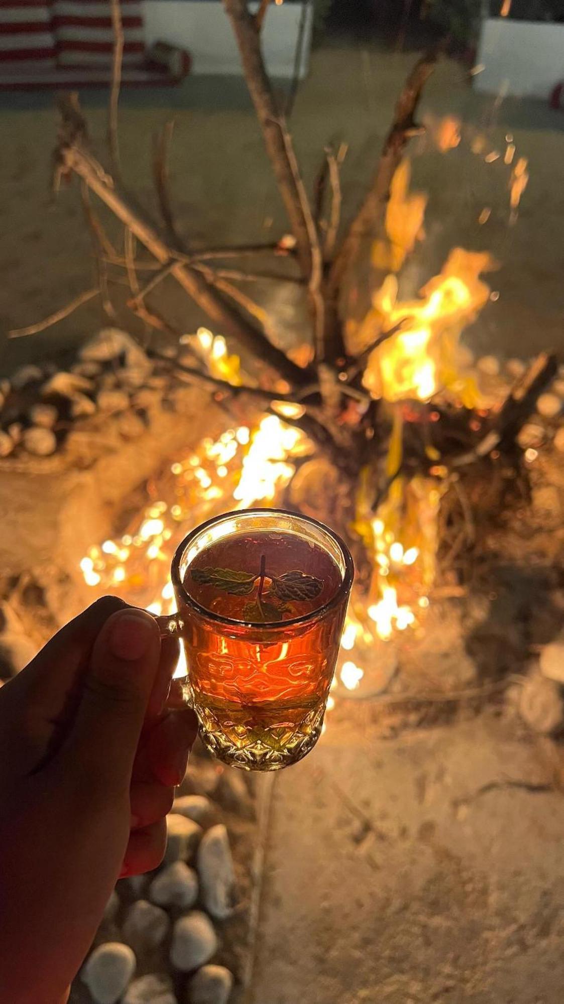 Camping Golden Palm Oasis *